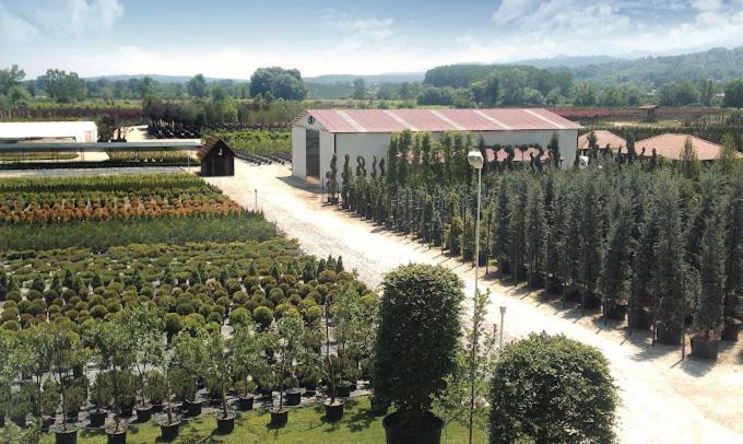Serbesler Botanik, No 1 Comfortable Villa Сакар`я Екстер'єр фото